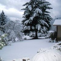 Janine Cox Photo 6