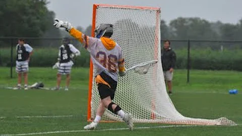 Paul Stillman Photo 16