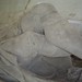 Mary Knight Photo 55