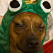 Dexter Prince Photo 38