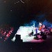 Michael Hashem Photo 23