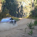 Kimberley Wood Photo 42