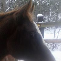 Rene Lavallee Photo 5