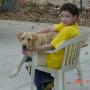 Steve Culp Photo 23