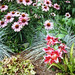Bruce Maclellan Photo 16