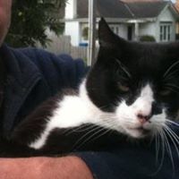 Peter Wickham Photo 1
