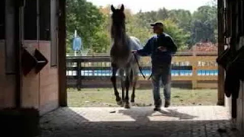 Jamie Noe Photo 14
