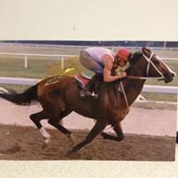 Scott Whitcomb Photo 7