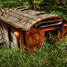 Greg Goodman Photo 44