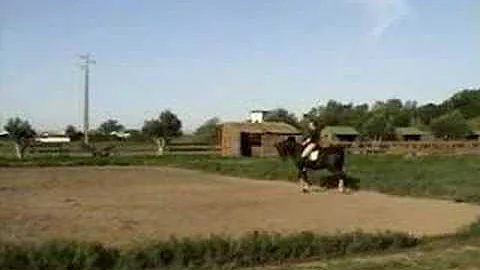 Agostinho Diogo Photo 8