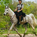 Tammy Powell Photo 46