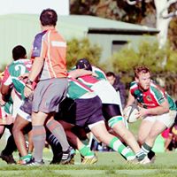 Michael Toohey Photo 9