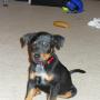 Shannon Crutchfield Photo 18