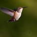 Kevin Hover Photo 29