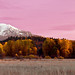 Christina Panos Photo 20
