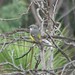 Robin Borden Photo 32