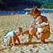 Joyce Poe Photo 33