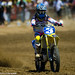 Andrew Cruse Photo 41