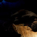 Jan Finke Photo 15