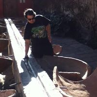 Daniel Marchant Photo 7