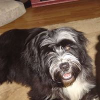Susan Hettinger Photo 3
