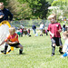 Todd Hawks Photo 23