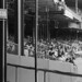 Alan Parrish Photo 48