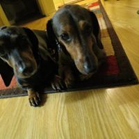 Nancy Schafer Photo 6