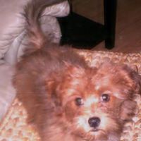 Angela Bigelow Photo 3