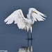 Len Thompson Photo 36