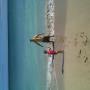 Jessica Alarcon Photo 28