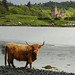 Elizabeth Macleod Photo 36