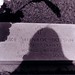 Bradley Dotson Photo 23
