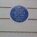 Thomas Wyatt Photo 43