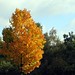 Lynn Bush Photo 35