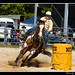 Danny Stroud Photo 33