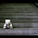 Albert Story Photo 12