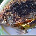 Susan Fish Photo 36