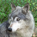 Keely Gray Photo 26