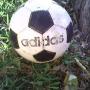Cesar Diego Photo 20