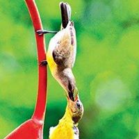 Atul Roy Photo 2