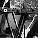 David Mcloughlin Photo 44