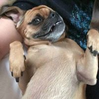 Dwight Pugsley Photo 1