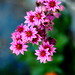 Sally Andersen Photo 26