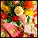 B Rose Photo 15