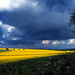 Ross England Photo 31