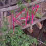 Katie Palmer Photo 30