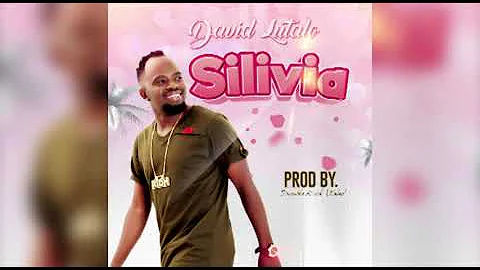 David Silvia Photo 33