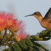 Mark Ruby Photo 31