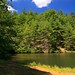 Roger Hale Photo 39